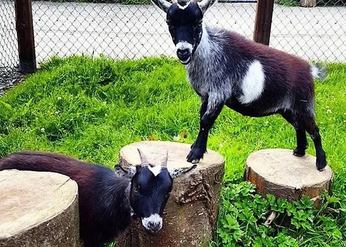 Newly Refurbished Self-catering Sleeping 3 Nyaraló