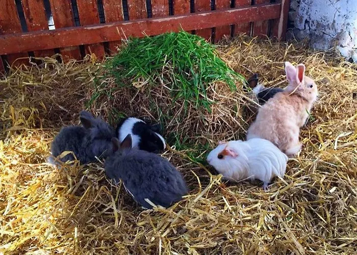 Newly Refurbished Self-catering Sleeping 3 Nyaraló